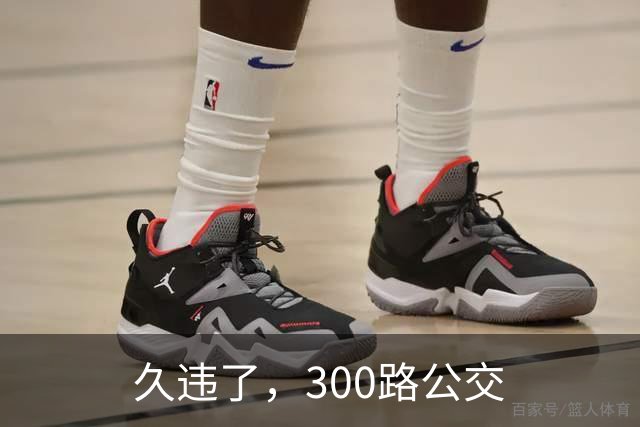 久违了，300路公交
