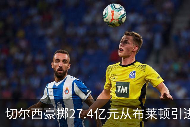 切尔西豪掷27.4亿元从布莱顿引进16人，哪些会赚翻，哪些血本无归